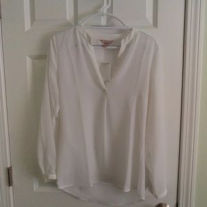 Banana Republic sheer shirt